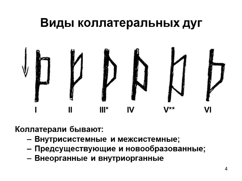 4 Виды коллатеральных дуг          I